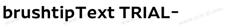 brushtipText TRIAL字体转换